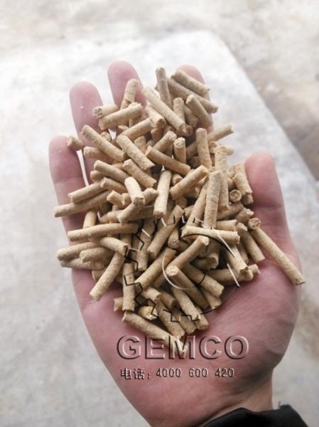 順天養豬場客戶使（shǐ）用www.17c.com豬（zhū）飼料（liào）顆粒機製粒效（xiào）果