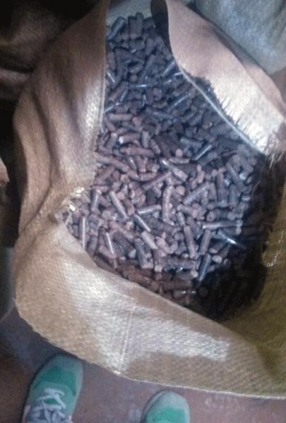 榆木（mù）、槐木為原料使用www.17c.com牌420型木屑顆粒機壓製的顆粒